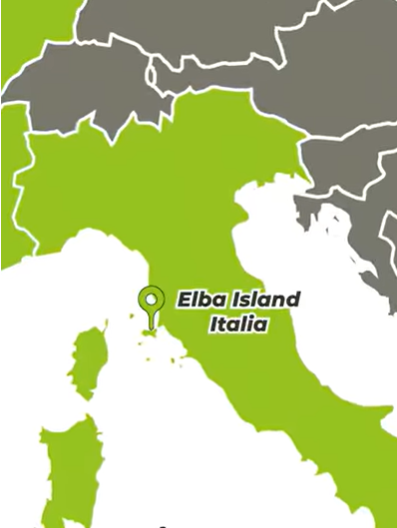 8 italia 